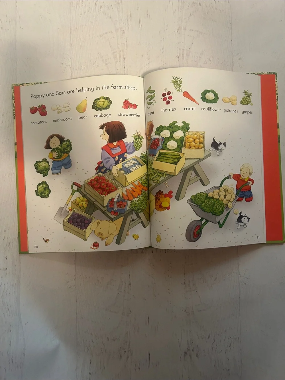 Usborne Poppy and Sam's First Word Book